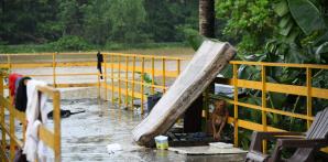 Pequeñas vidas bajo la lluvia: los animalitos durante la tormenta tropical Melissa