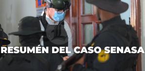 Resumén del Caso Senasa