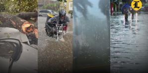 VIDEO: Microrráfaga, así es el fenómeno que afectó Gascue con vientos sobre los 100 km/h