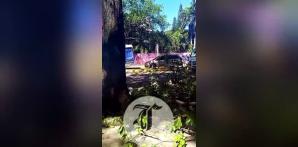 VIDEO: Persisten las calles bloqueadas, cables y árboles en el suelo por lluvias en Gran Santo Domingo