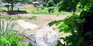 VIDEO: Así luce el arroyo Lebrón, tras 30 años del asesinato de Llenas Aybar