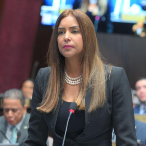 "Si tú eres loca, la justicia de aquí no, yo creo en la justicia dominicana", dijo Selinée Méndez.