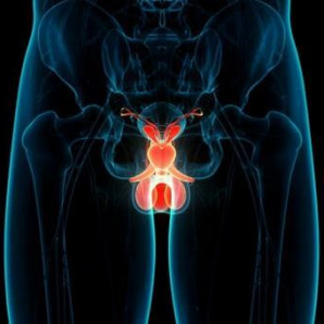 Imagen ilustrativa cáncer de próstata. Fuente: Listín Diario.