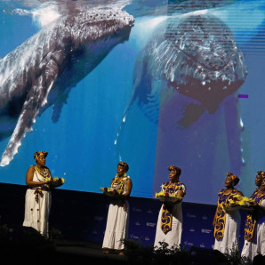 Presentación artística durante la inauguración de la COP16 ayer domingo.