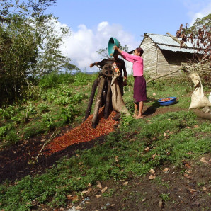 La organización impacta con sus proyectos a unas 1,193 familias en 54 comunidades ubicadas en zonas de montaña y de llanura en las provincias Independencia, Barahona, Bahoruco, Azua y San Juan.