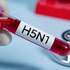 En Estados Unidos al menos 61 personas han contraído el virus H5N1