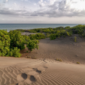 José Manuel Mateo es coautor del libro “Áreas protegidas de República Dominicana: naturaleza en estado puro” (2010).