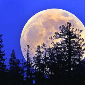 En resumen, esta superluna nos puede ayudar a aprovechar sus energías de transformación y renovación personal.