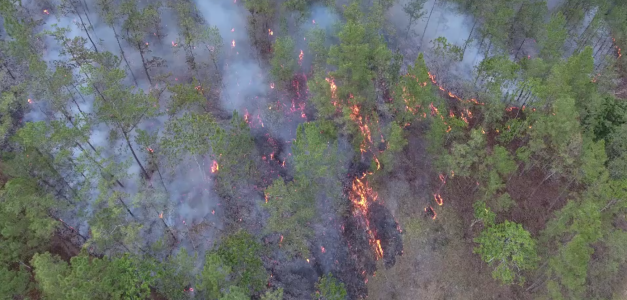 Incendio forestal en La Vega