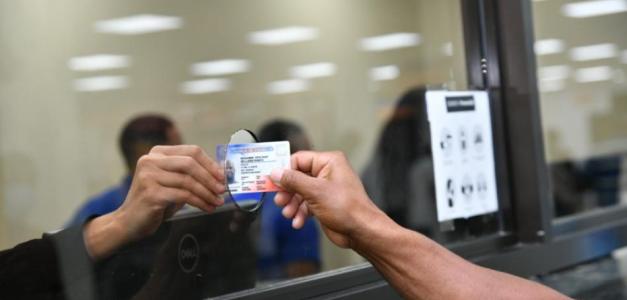 Actual licencia de conducir