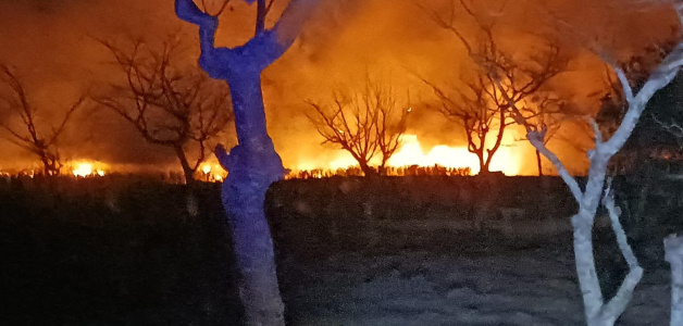Uno de los incendios que afectan la zona Este del país