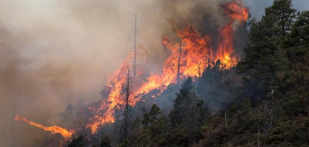 Vista de un incendio forestal en el poblado el Baratillo perteneciente al municipio de Arteaga, el 27 de marzo de 2021 en el estado de Coahuila (México). Un incendio forestal en el noreste mexicano acumula este domingo un aproximado de 12.000 hectáreas de bosque afectadas en los estados de Coahuila y Nuevo León, fronterizos con Estados Unidos, tras casi dos semanas. EFE/Miguel Sierra