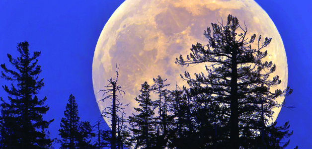 En resumen, esta superluna nos puede ayudar a aprovechar sus energías de transformación y renovación personal.