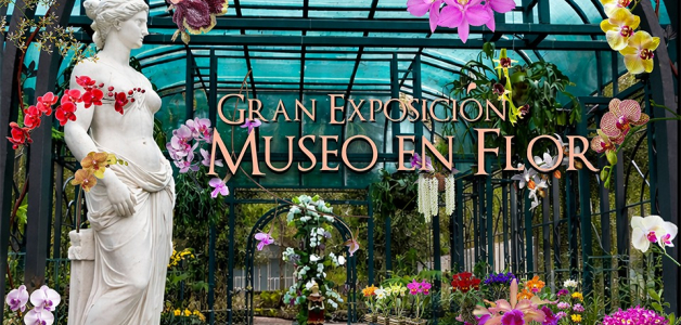 El Jardín Botánico de Santiago se convierte en galería viva con la V Feria de Orquídeas del Cibao.
