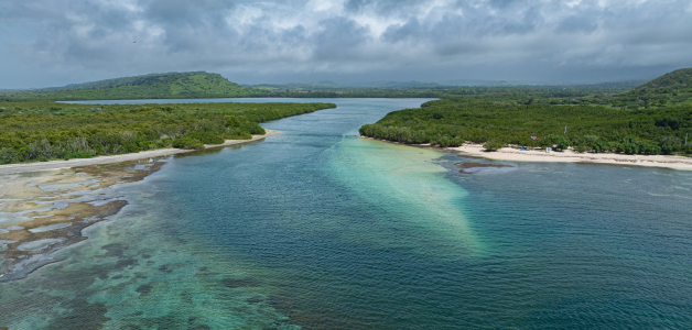 El canal es una vía acuática serena donde confluyen el agua dulce y salada, creando condiciones ideales para la biodiversidad.