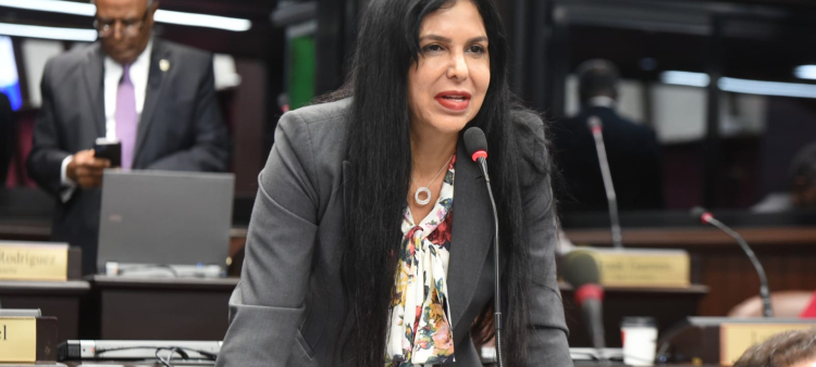 La diptuada Rosa Amalia Pilarte en una de sus intervenciones en la Cámara de Diputados