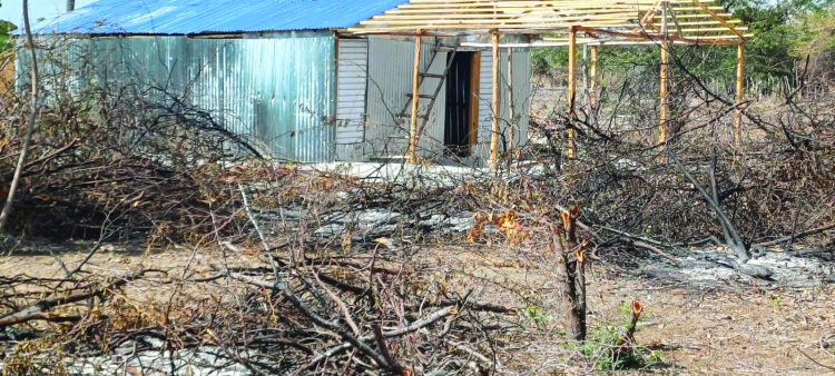 Esta casucha fue levantada en el área protegida.