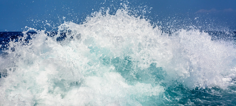 Fotografía muestra ola del mar agresiva.