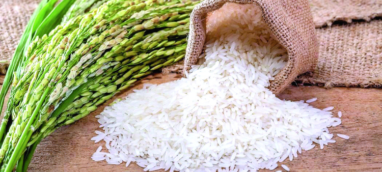 El director ejecutivo de Pro Consumidor, Eddy Alcántara, dijo que las pruebas al arroz fueron hechas tras denuncias expuestas en diferentes medios de comunicación.