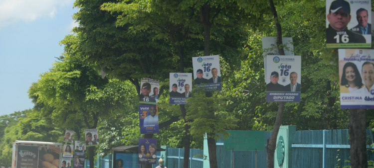 Ni siquiera los árboles en zonas verdes de la ciudad de Santo Domingo se han salvado de ser clavados para colocar cartelones con propaganda electoral.