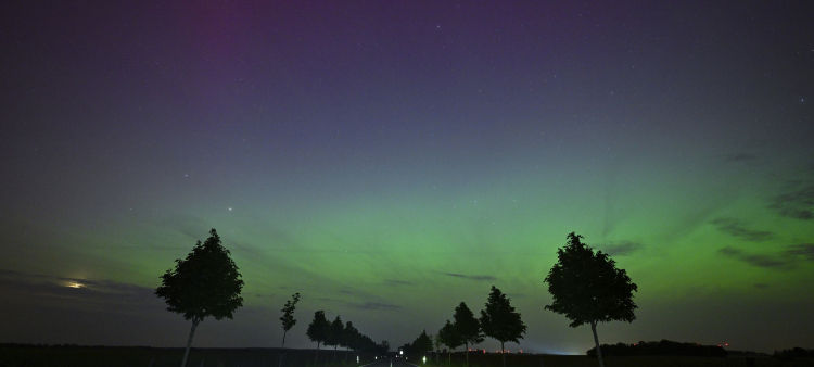 Una aurora boreal surge en el cielo nocturno de Brandeburgo Oriental