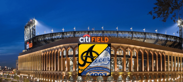 El imponente Citi Field, hogar de los Mets de Nueva York, fue el escenario de la primera edición de la Serie Los Titanes entre Licey y Águilas, los grandes rivales dominicanos.
