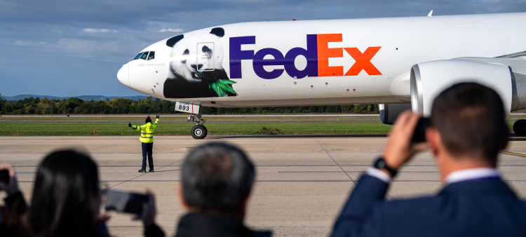 Un par de pandas gigantes de 3 años, Bao Li y Qing Bao, llegan en un avión FedEx Boeing 777 desde China al Aeropuerto Internacional de Dulles el 15 de octubre de 2024 en Dulles, VA.