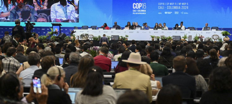 Vista general de la ceremonia de apertura de la cumbre COP16 en Cali, Colombia, el 21 de octubre de 2024