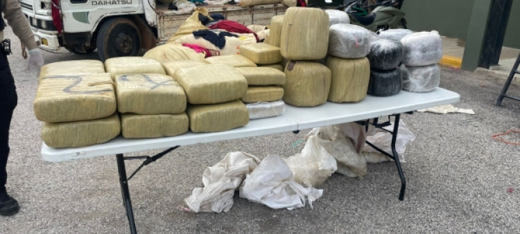 Agentes ocupan 264 libras de marihuana en pedernales