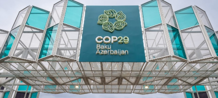 Cop29.