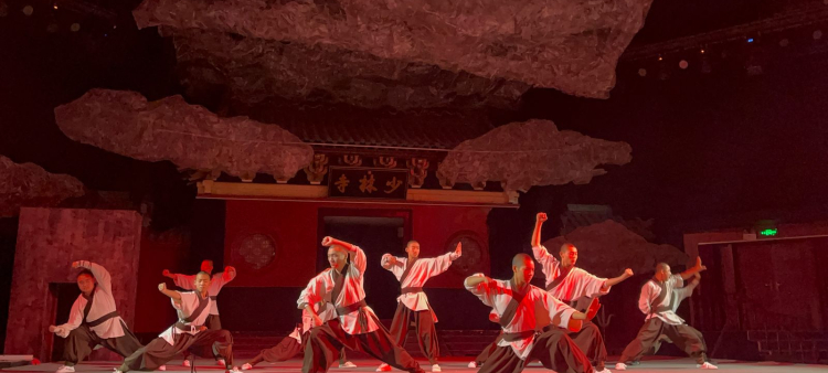 Demostración de kung-fu