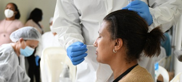 Estas enfermedades pertenecen al tipo de virus estacionales.