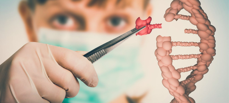 Las terapias génicas son los tratamientos más costosos.