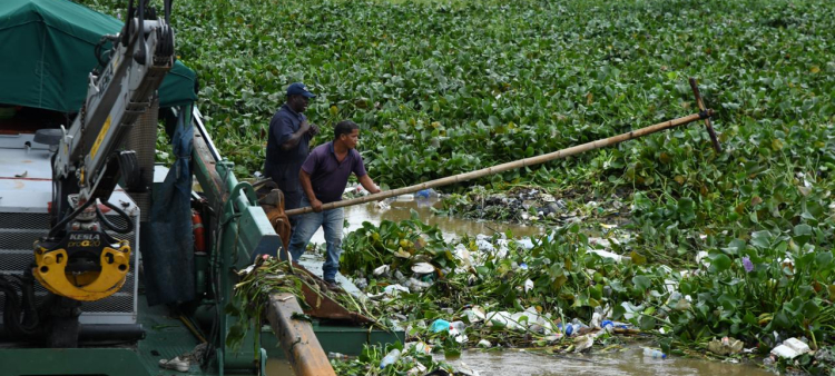 El saneamiento se proyecta con una duración de varios días.