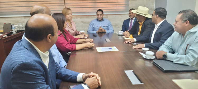 Riverón en la Comisión Permanente de Asuntos Fronterizos de la Cámara Baja