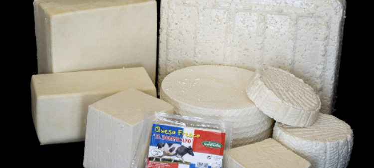 La industria dominicana de lácteos tiene grandes oportunidades para exportar el queso que elaboran.