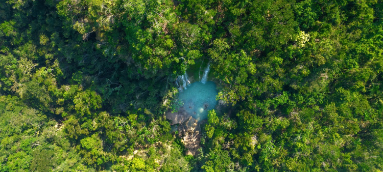 ¿Es la zona de amortiguamiento también área protegida? “En algunos países este territorio es parte integral del área protegida. En otros, no”, responde Mateo. En la imagen: salto El Limón, en Samaná.