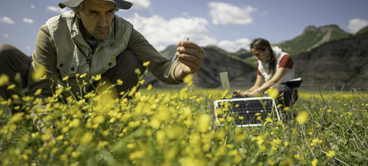 Según el texto, las condiciones actuales perpetúan la situación y no propician el cambio transformador necesario para detener y revertir la pérdida de biodiversidad.