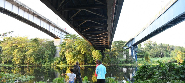 Puente Francisco J. Peynado.