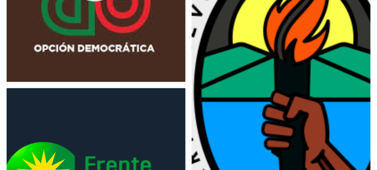 A pesar de lo expresado, ninguno de los partidos consultados por este escrito rechazó la idea de acceder a una reunión con esa comisión, en caso de ser solicitados.