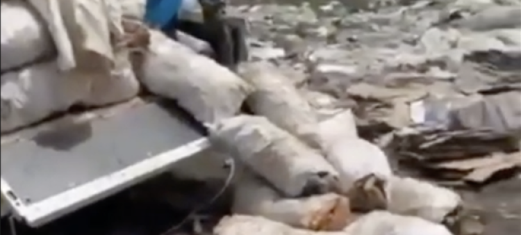 Productores muestran los sacos de zanahoria.