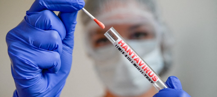 Ilustración del concepto de prueba de laboratorio para el hantavirus, con tubos de muestra y bastoncillos de algodón manipulados por una persona con equipo médico de protección. Fotografía tomada en París, Francia, el 8 de mayo de 2026.