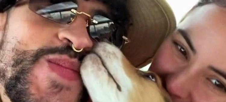 Sansa Martínez Berlingeri, la beagle de cuatro años de Bad Bunny y Gabriela Berlingeri.