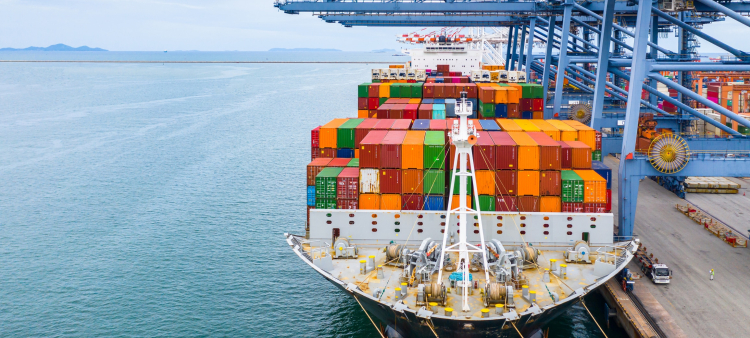 Exportaciones dominicanas crecen 12.5% en los primeros siete meses de 2026