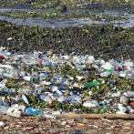 Muchos plásticos, basura y lilas se adueñan de la playa Montesinos