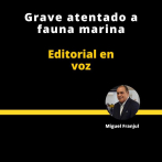 EDITORIAL | GRAVE ATENTADO A FAUNA MARINA