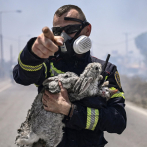 El devastador incendio en la isla de Rodas, Grecia
