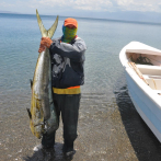 FISH4ACP en República Dominicana: el proyecto que fortalecerá la cadena de valor del pez dorado
