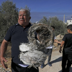 Seis palestinos muertos en Cisjordania en enfrentamientos con tropas israelíes
