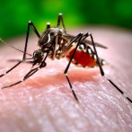 El dengue sigue cobrando vidas, muere otra niña